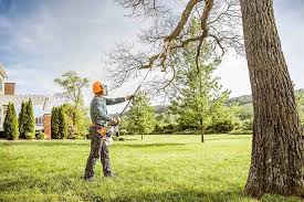 How Our Tree Care Process Works  in  Wagoner, OK